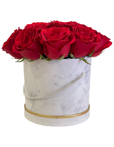 Red Rose in Elegant Bloom Box