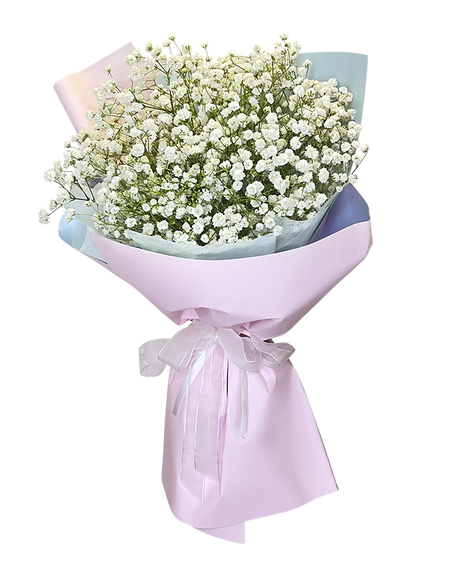 Baby's Breath Bouquet 2Tone Pink Wrapper