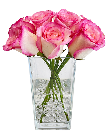 Elegant 2Tone Pink Rose in Tall Vase
