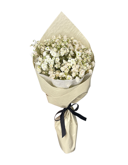 Mini Baby’s Breath Bouquet