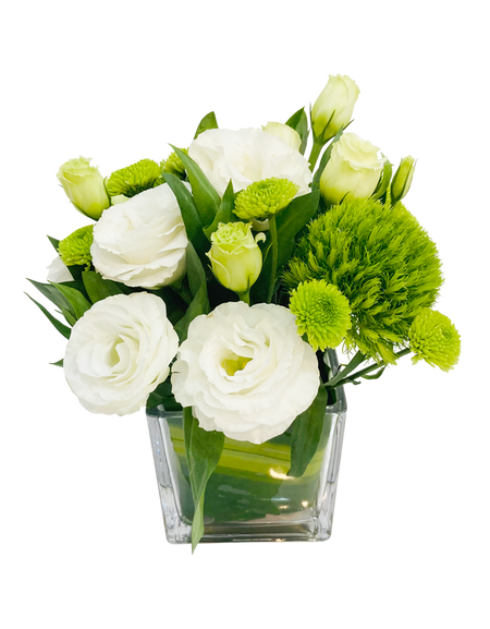 Elegant Mini Botanica