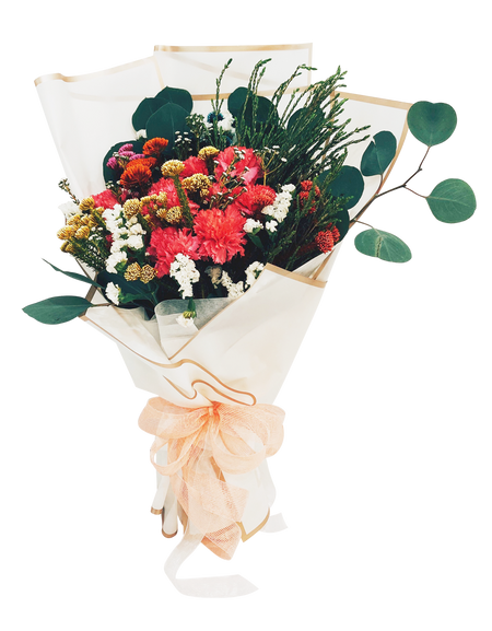Radiant Mixed Carnation Bouquet