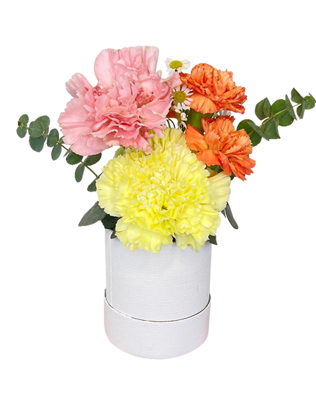 Elegant Pastel Palm-sized Bloom Box