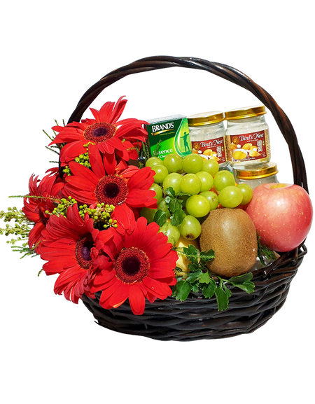 Red Gerbera Wellness Basket