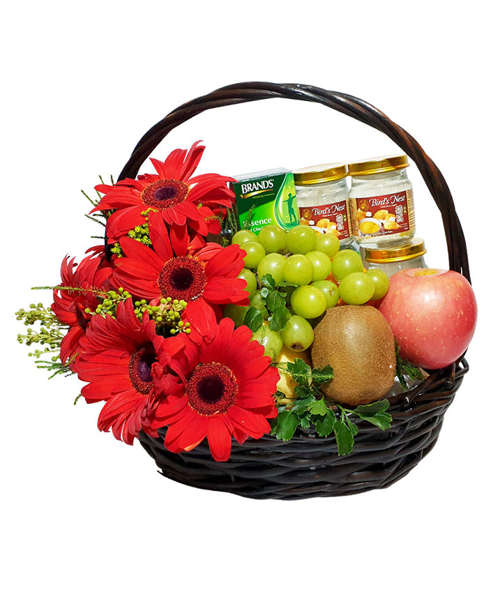 Red Gerbera Wellness Basket