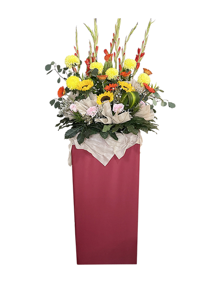 Splendid Congratulatory Stand