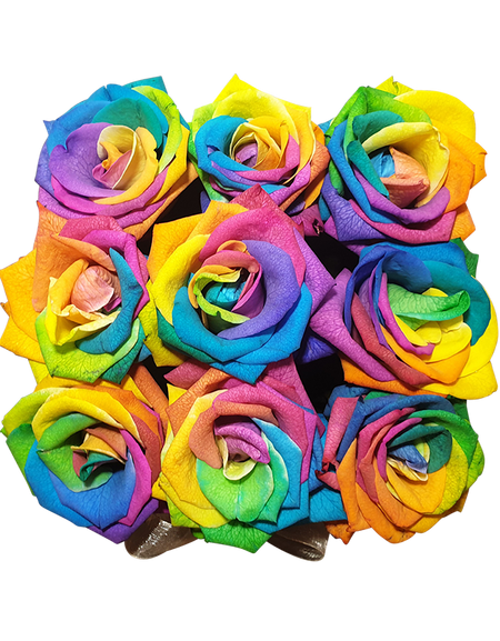 Rainbow Rose in Bloom Box