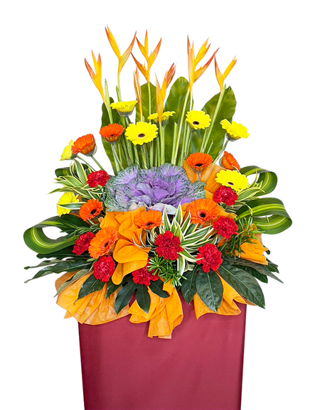 Magnificent I Congratulatory Stand