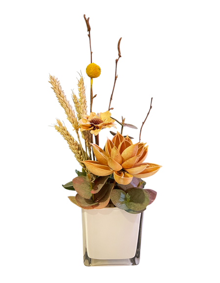 Wonder of Nature (Coffee Table)