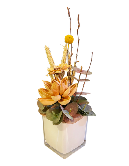 Wonder of Nature (Coffee Table)