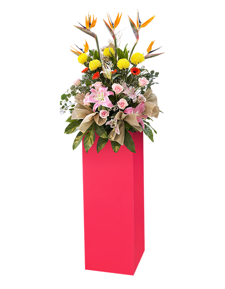 Resplendent I Congratulatory Stand