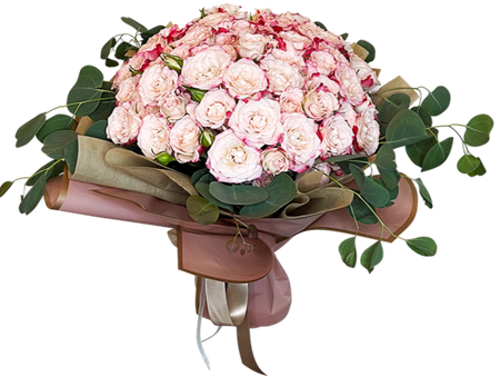 99 Miniature Roses I Sweet Love Contemporary Style