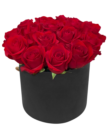 Red Rose in Tall Circular Bloom Box
