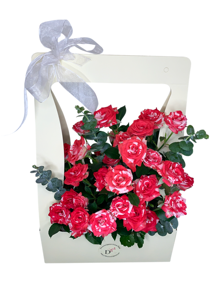 2Tone Watercolour Red/White Spray Rose