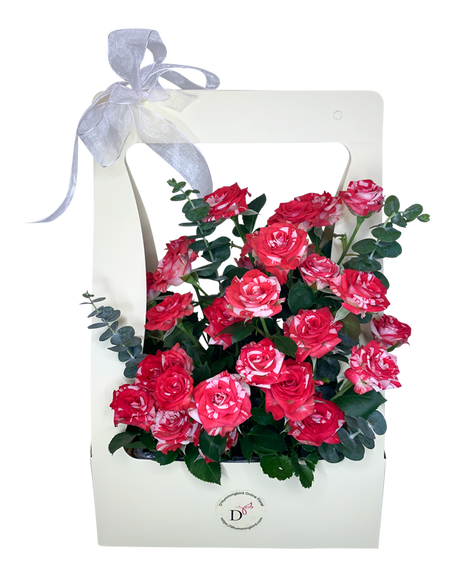 2Tone Watercolour Red/White Spray Rose