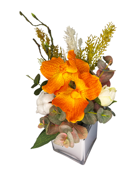 Mini Orange Vanda Botanica