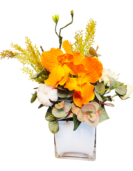 Mini Orange Vanda Botanica