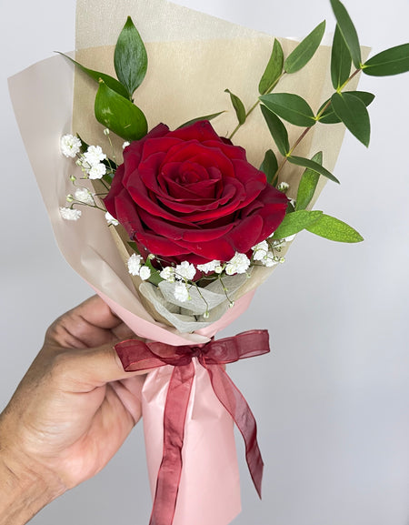 Timeless Red Rose Elegance