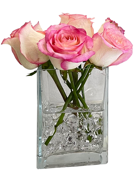 Minimalist 2Tone Pink Rose in Glass Vase