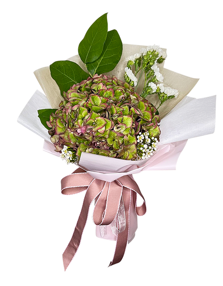 Ombre Hydrangea Bouquet