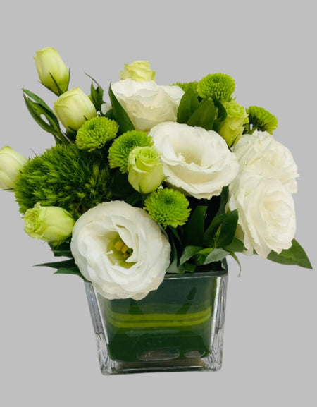 Elegant Mini Botanica