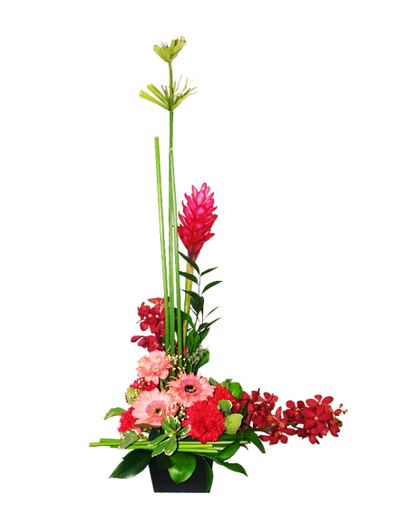 Red Ginger/Pink Gerbera Tall