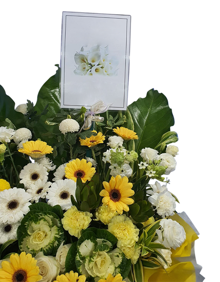 Compassion Sympathy Stand