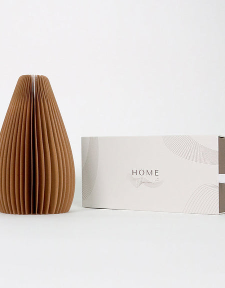 Carnations in Unique Foldable Vase