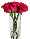 Elegant Red Rose in Tall Vases