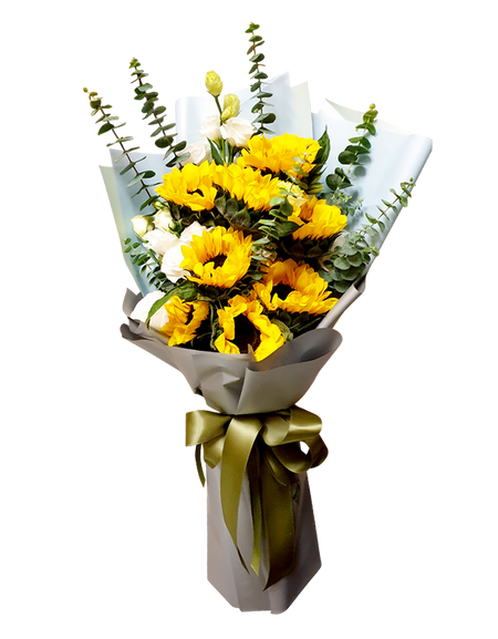 Beautiful Sunshine Day