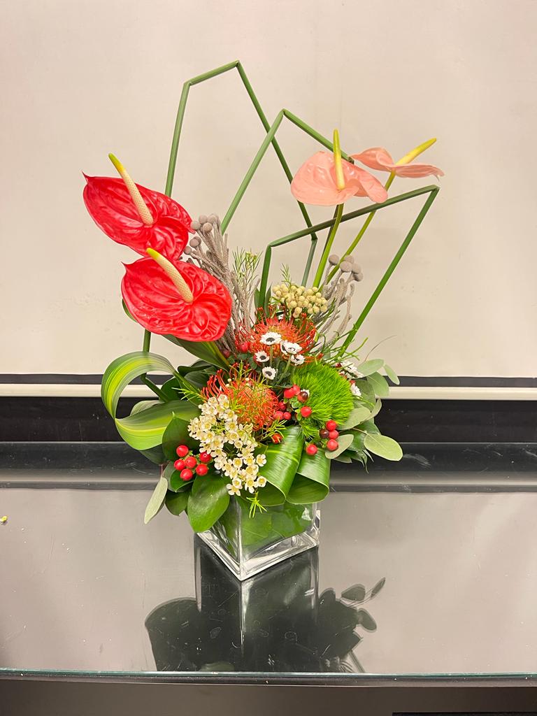 Anthurium Tropical Paradise (Medium)