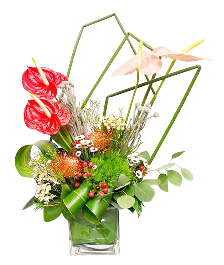Anthurium Tropical Paradise (Medium)