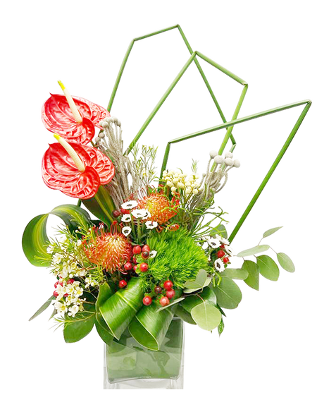 Anthurium Tropical Paradise (Medium)