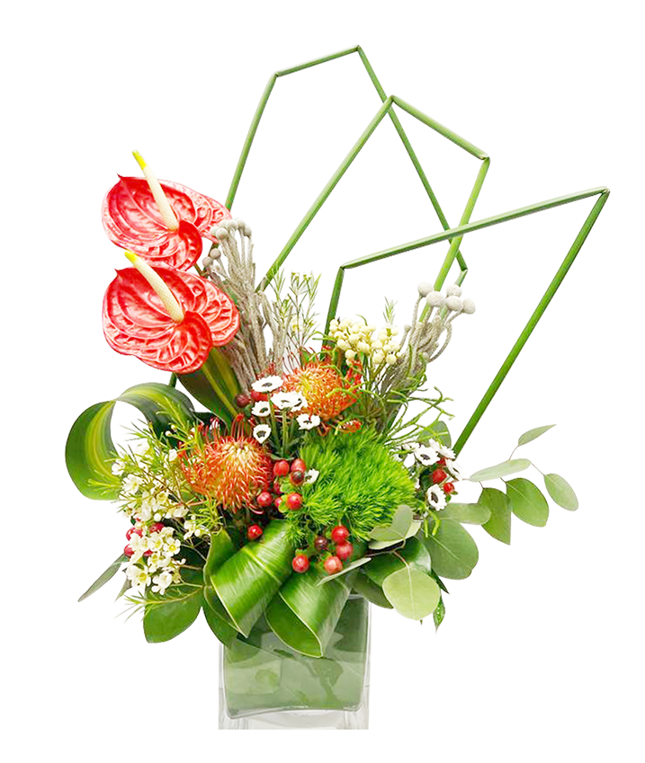 Anthurium Tropical Paradise (Medium)