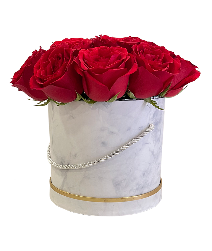 Red Rose in Elegant Bloom Box