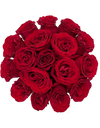 Red Rose in Elegant Bloom Box