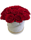 Red Rose in Elegant Bloom Box