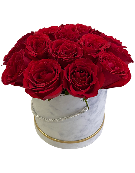 Red Rose in Elegant Bloom Box