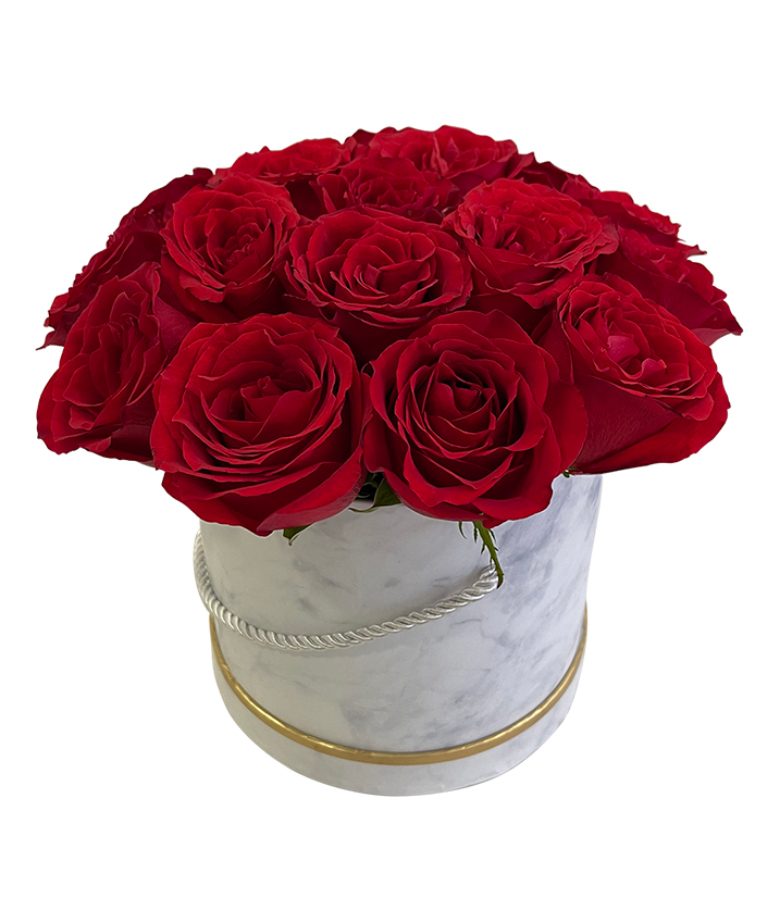 Red Rose in Elegant Bloom Box