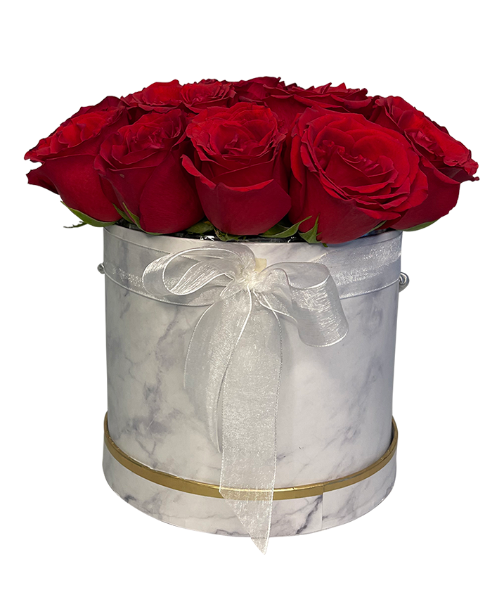 Red Rose in Elegant Bloom Box