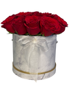 Red Rose in Elegant Bloom Box