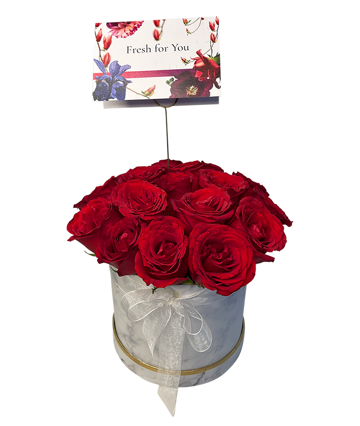 Red Rose in Elegant Bloom Box