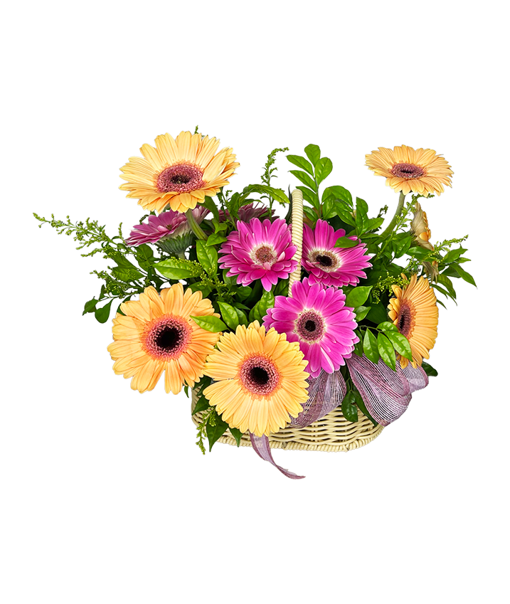 Basket of Sunshine