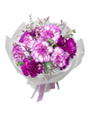 Amethyst Carnations in Bloom