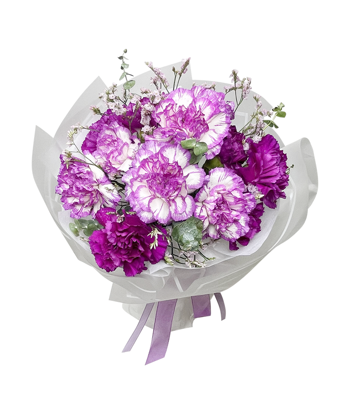 Amethyst Carnations in Bloom