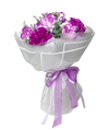 Amethyst Carnations in Bloom