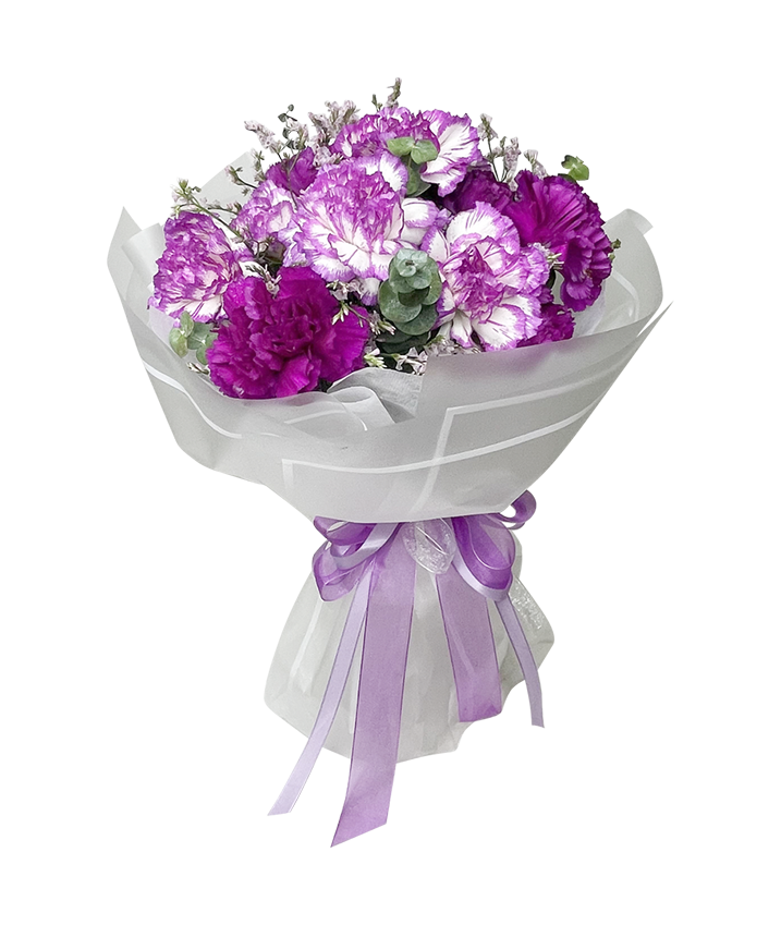 Amethyst Carnations in Bloom
