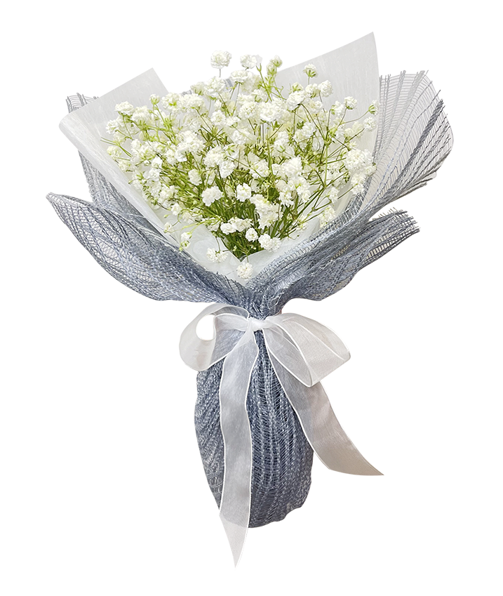 Mini Baby's Breath Bouquet
