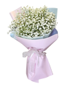 Baby's Breath Bouquet 2Tone Pink Wrapper