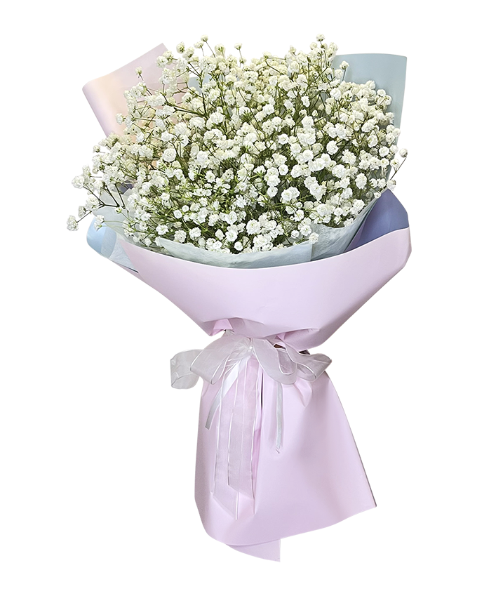 Baby's Breath Bouquet 2Tone Pink Wrapper